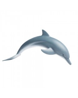 DELFĪNS - SAFARI LTD.