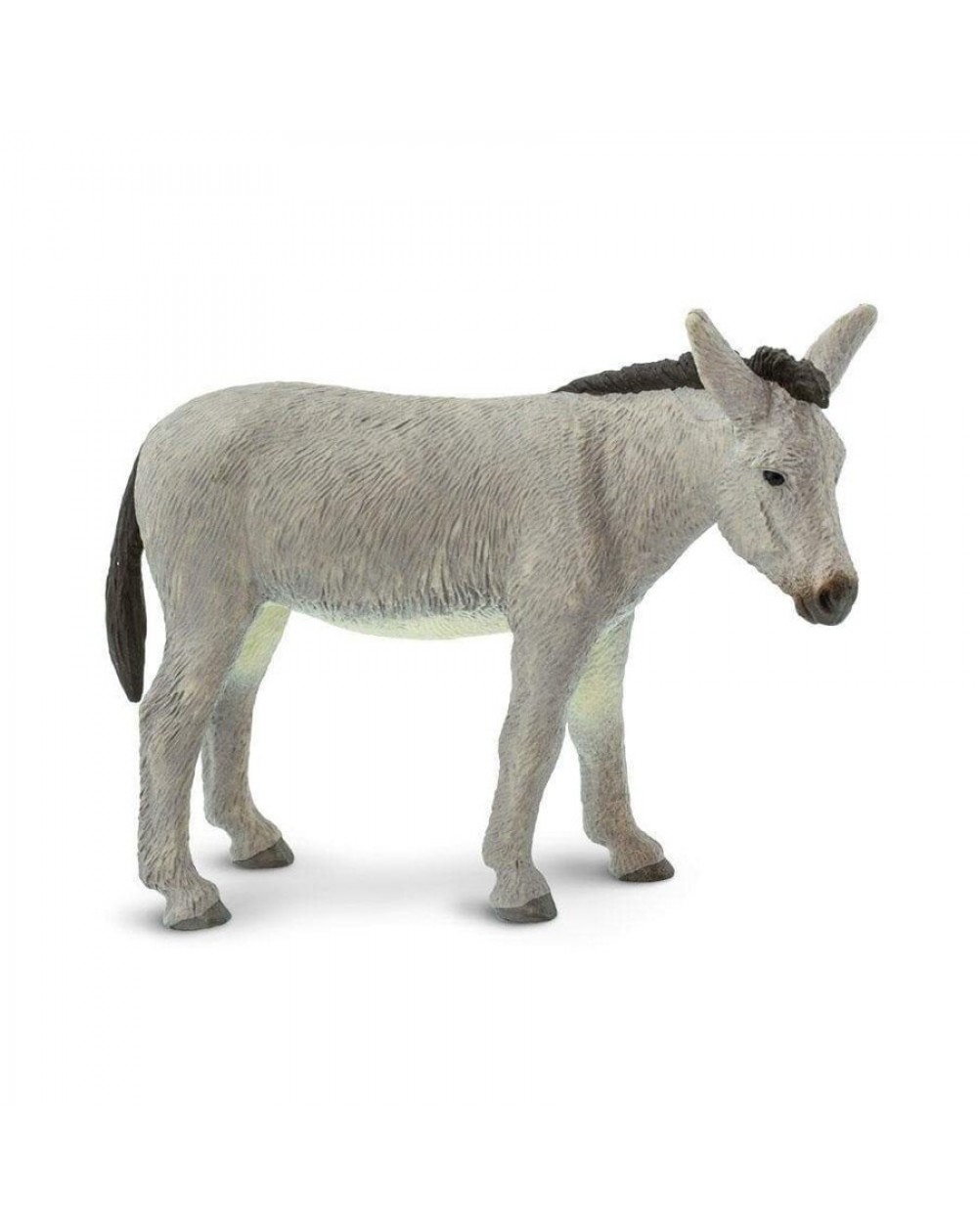 Ēzelis - SAFARI Ltd.