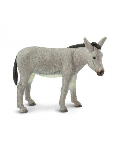 Ēzelis - SAFARI Ltd.