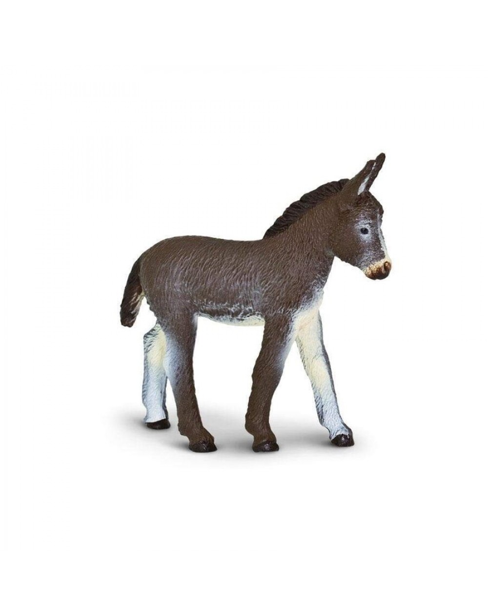 Ēzeļa Kumeliņš - SAFARI Ltd.
