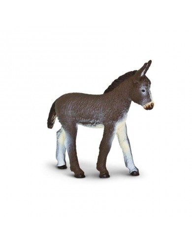 Ēzeļa Kumeliņš - SAFARI Ltd.