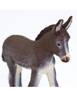 Ēzeļa Kumeliņš - SAFARI Ltd.