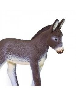 Ēzeļa Kumeliņš - SAFARI Ltd.