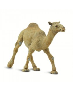 Vienkupra Kamielis - SAFARI Ltd.