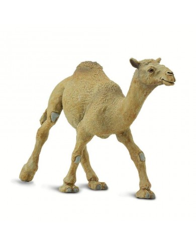 Vienkupra Kamielis - SAFARI Ltd.