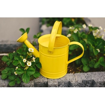 Metal Watering Can for Children - WOODY Metal Watering Can for Children - WOODY