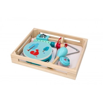 Musical Instrument Set in a Wooden Box