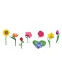ZIEDI TOOB® - SAFARI LTD.