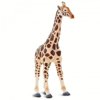 Žirafe - Safari Ltd.