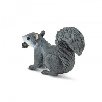 Grey Squirrel - SAFARI.LTD.