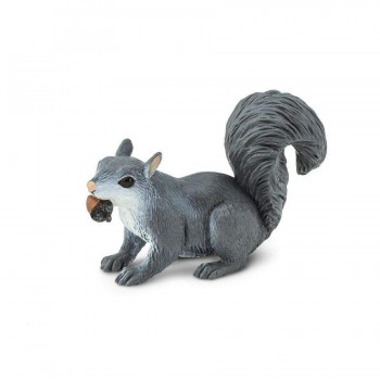 Grey Squirrel - SAFARI.LTD.