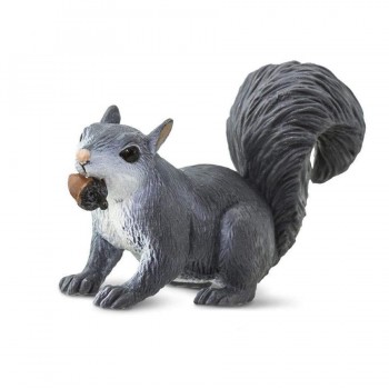 Grey Squirrel - SAFARI.LTD.