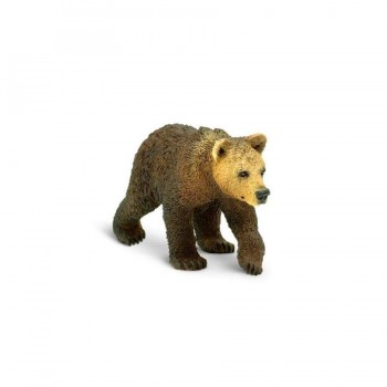 Grizli Bear Cub - SAFARI Ltd.