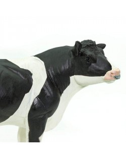 Holšteinas Bullis - SAFARI Ltd.