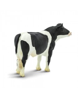 Holšteinas Bullis - SAFARI Ltd.