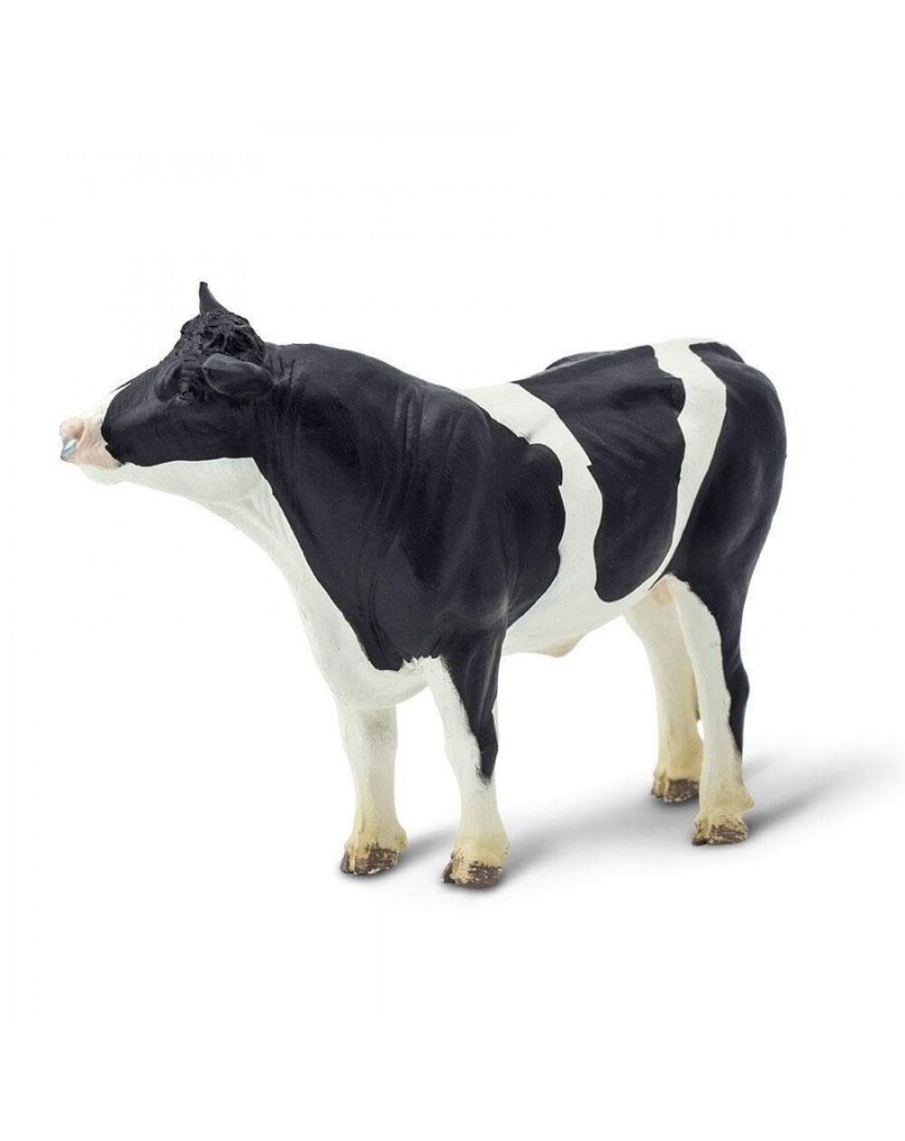 Holšteinas Bullis - SAFARI Ltd.