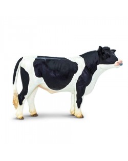 Holšteinas Bullis - SAFARI Ltd.