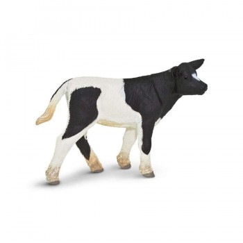 Holstein Calf - SAFARI Ltd.