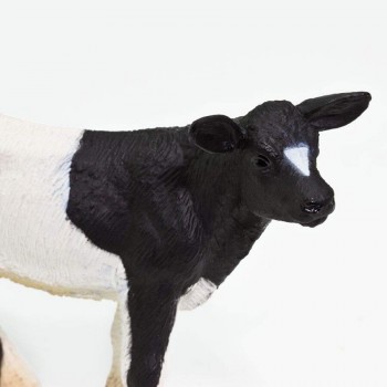 Holstein Calf - SAFARI Ltd.