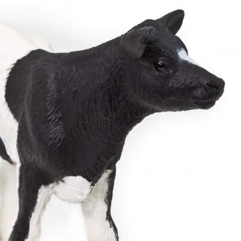 Holstein Calf - SAFARI Ltd.