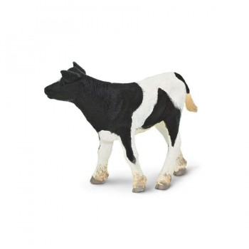 Holstein Calf - SAFARI Ltd.
