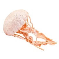 Jellyfish Figurine - SAFARI Ltd.