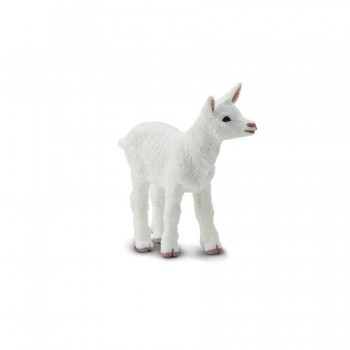 KAZLĒNS - SAFARI Ltd.