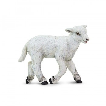 Jēriņš - Safari Ltd.