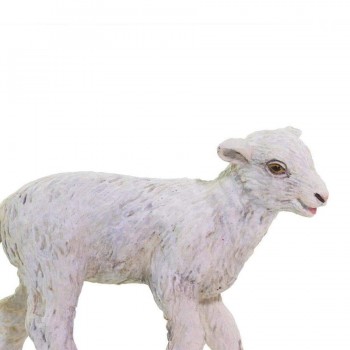 Jēriņš - Safari Ltd.
