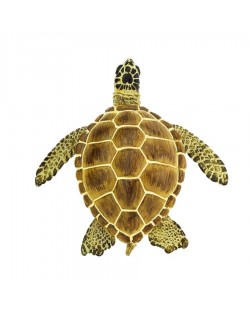 Jūras Bruņurupucis Loggerhead - SAFARI Ltd.