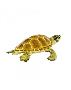 Jūras Bruņurupucis Loggerhead - SAFARI Ltd.