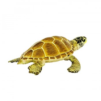 Jūras Bruņurupucis Loggerhead