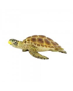 Jūras Bruņurupucis Loggerhead - SAFARI Ltd.