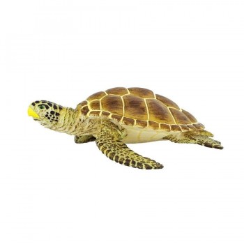 Jūras Bruņurupucis Loggerhead