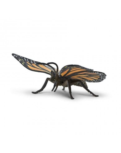 Monarhu Tauriņš - SAFARI Ltd.