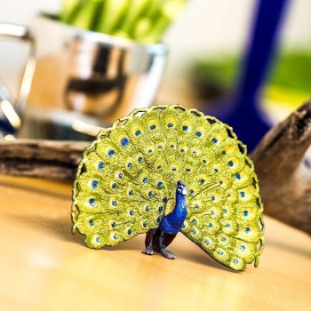 PEACOCK - SAFARI LTD.