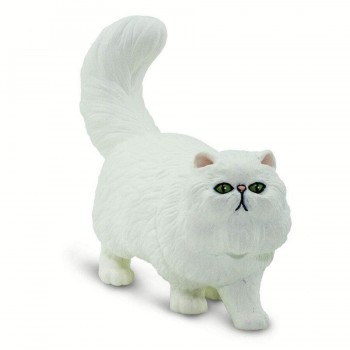 Persian Cat - SAFARI Ltd.