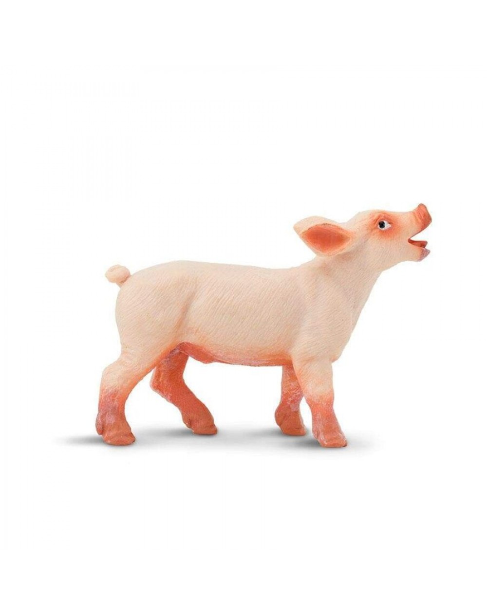 Sivēns - SAFARI Ltd.