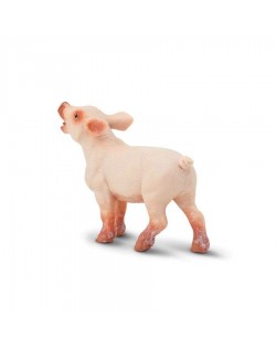 Sivēns - SAFARI Ltd.