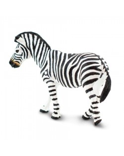 Līdzenumu Zebra - SAFARI Ltd.