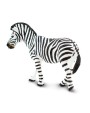 Līdzenumu Zebra - SAFARI Ltd.