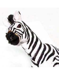 Līdzenumu Zebra - SAFARI Ltd.