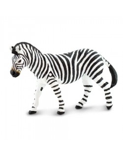 Līdzenumu Zebra - SAFARI Ltd.