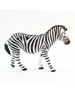 Līdzenumu Zebra - SAFARI Ltd.