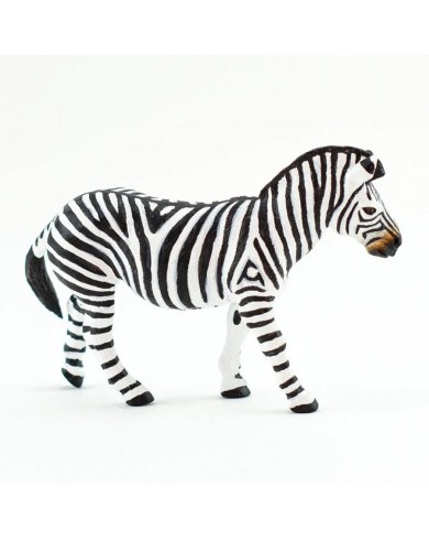 Līdzenumu Zebra - SAFARI Ltd.