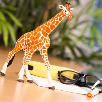 Somali Giraffe - SAFARI Ltd. Somali Giraffe - SAFARI Ltd.