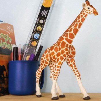 Somali Giraffe - SAFARI Ltd. Somali Giraffe - SAFARI Ltd.
