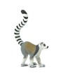 Kaķu Lemurs - SAFARI Ltd.