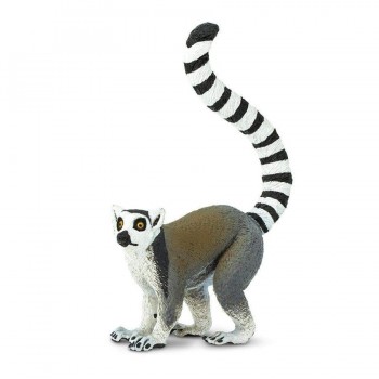 Cat Lemurs - SAFARI Ltd.