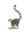 Kaķu Lemurs - SAFARI Ltd.